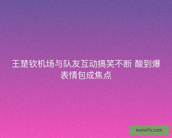 王楚钦机场与队友互动搞笑不断 酸到爆表情包成焦点