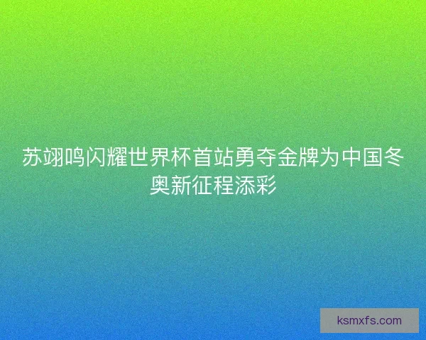 苏翊鸣闪耀世界杯首站勇夺金牌为中国冬奥新征程添彩